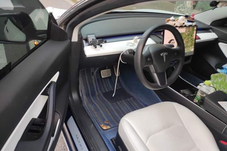 Used Tesla Model 3 2019 Long-Range All-Wheel-Drive Version Driver Seat