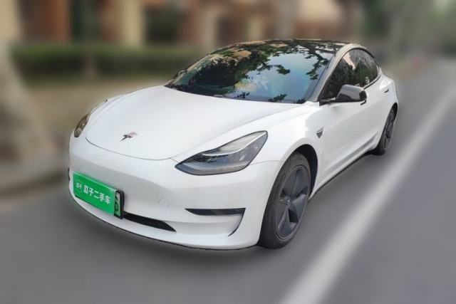 Used Tesla Model 3 2019 Long-Range All-Wheel-Drive Version
