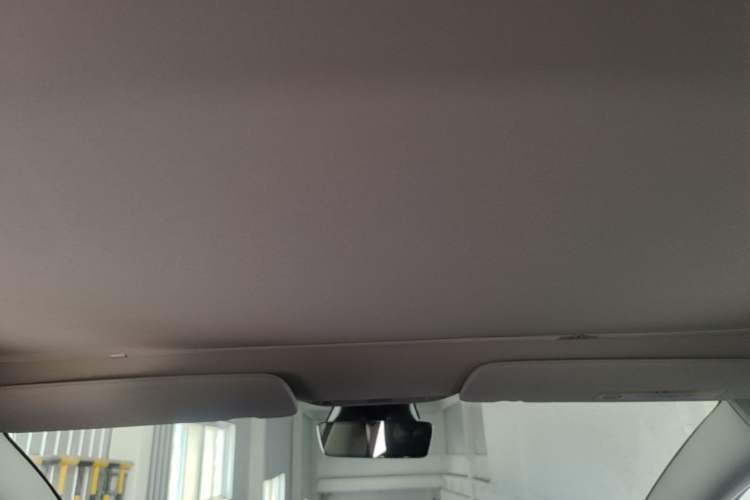 Used Tesla Model 3 2019 Long-Range All-Wheel-Drive Version Headliner