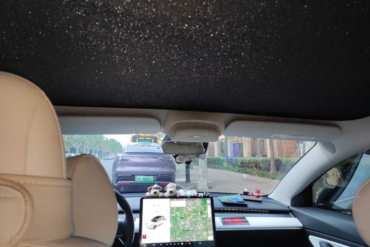 Used Tesla Model 3 2019 Long-Range All-Wheel-Drive Version Headliner