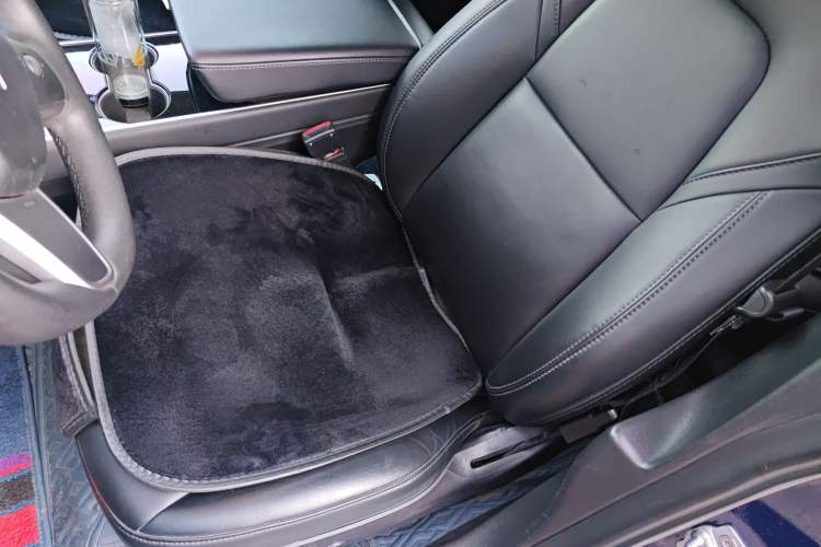 Used Tesla Model 3 2019 Standard Range Rear-Wheel Drive Upgraded Version (52 kWh) Left Front Seat