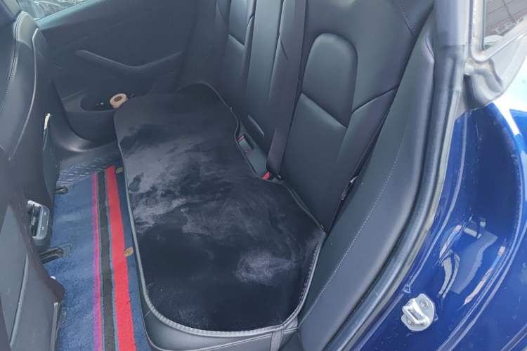Used Tesla Model 3 2019 Standard Range Rear-Wheel Drive Upgraded Version (52 kWh) Left Rear Seat