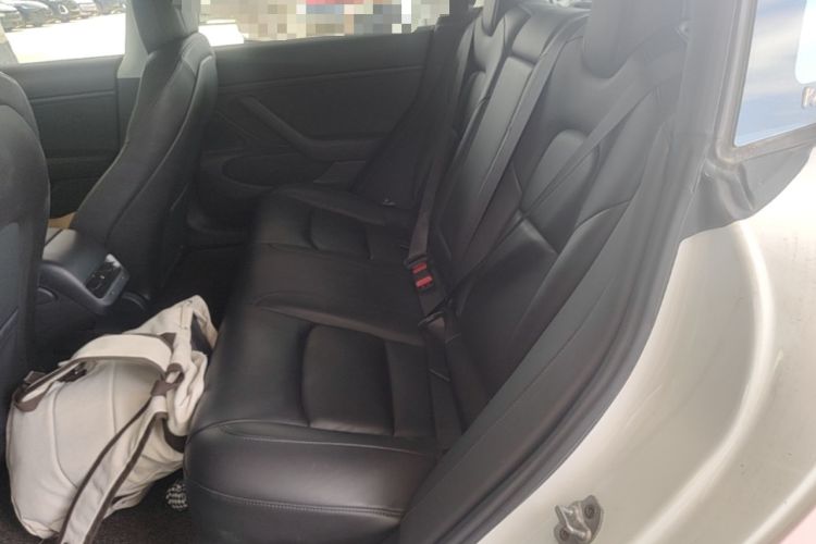 Used Tesla Model 3 2019 Long-Range All-Wheel-Drive Version Left Rear Seat