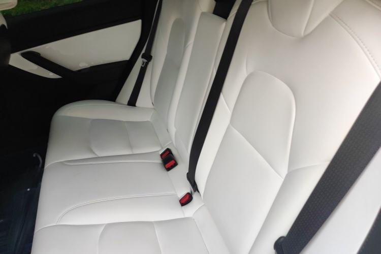Used Tesla Model 3 2019 Long-Range All-Wheel-Drive Version Left Rear Seat