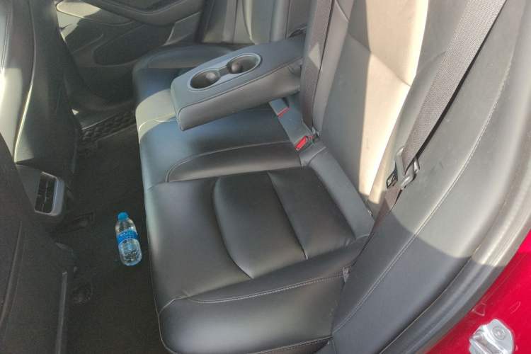 Used Tesla Model 3 2019 Standard Range Rear-Drive Upgraded Version Left Rear Seat