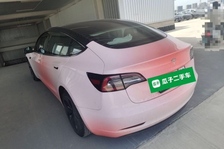 Used Tesla Model 3 2019 Long-Range All-Wheel-Drive Version Rear Left 45 Deg
