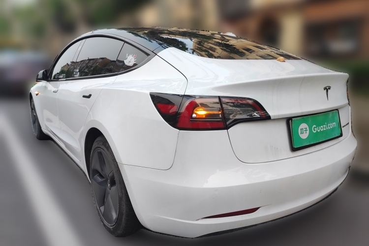 Used Tesla Model 3 2019 Long-Range All-Wheel-Drive Version Rear Left 45 Deg