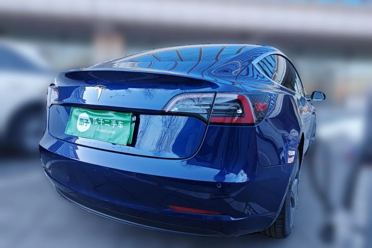 Used Tesla Model 3 2019 Standard Range Rear-Wheel Drive Upgraded Version (52 kWh) Rear Right 45 Deg