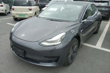 Used Tesla Model 3 2019 Standard Range Rear-Drive Upgraded Version