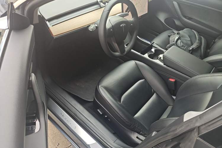 Used Tesla Model 3 2019 Standard Range Rear-Drive Upgraded Version Driver Seat