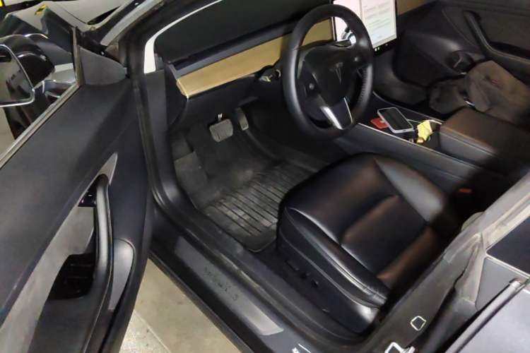 Used Tesla Model 3 2019 Standard Range Rear-Drive Upgraded Version Driver Seat