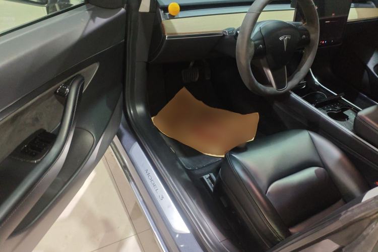 Used Tesla Model 3 2019 Standard Range Rear-Drive Upgraded Version Driver Seat