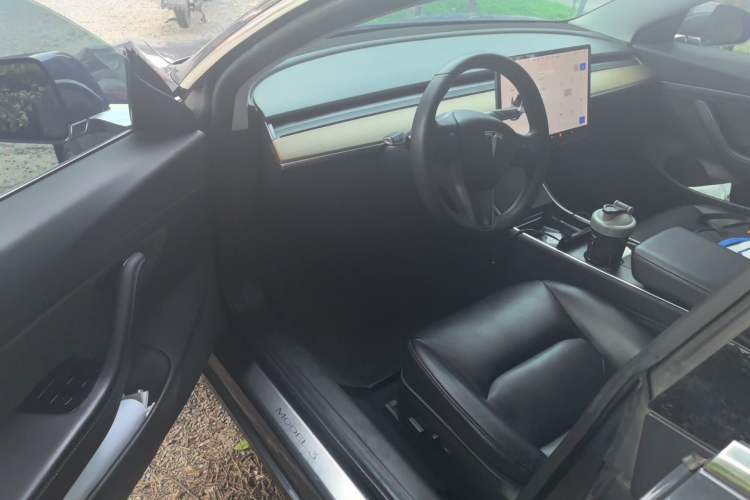 Used Tesla Model 3 2019 Standard Range Rear-Drive Upgraded Version Driver Seat