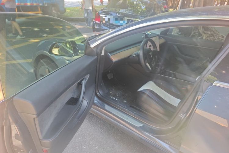 Used Tesla Model 3 2019 Standard Range Rear-Drive Upgraded Version Driver Seat