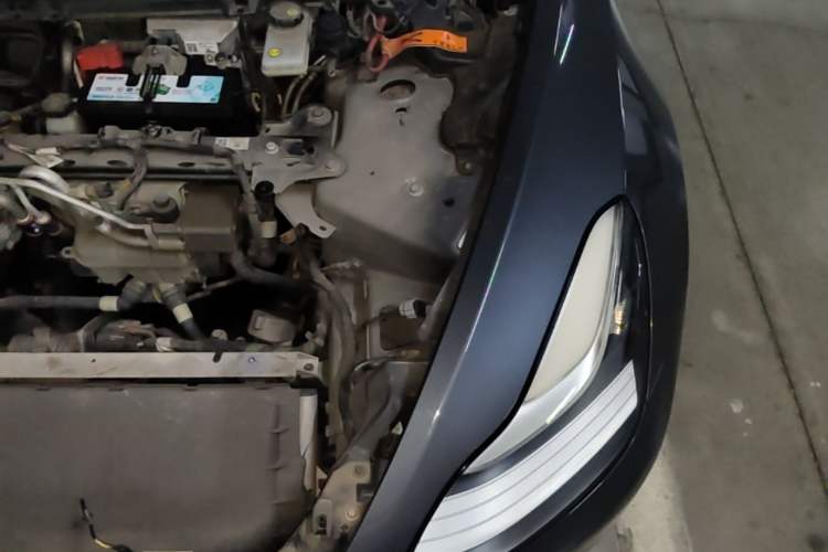 Used Tesla Model 3 2019 Standard Range Rear-Drive Upgraded Version Engine Bay Left