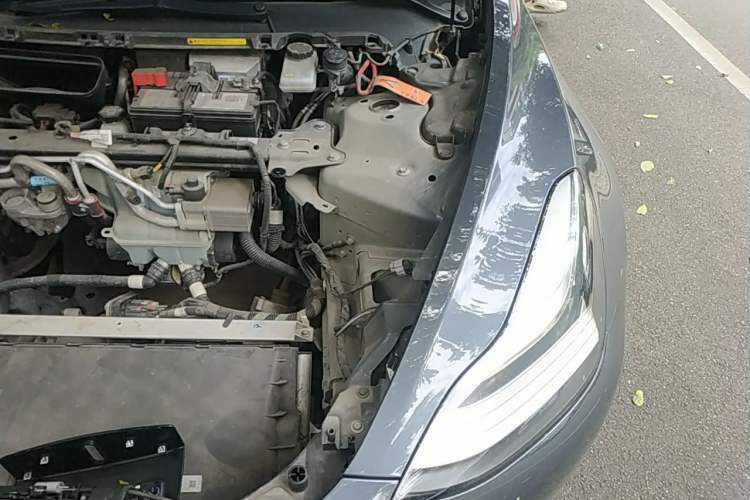 Used Tesla Model 3 2019 Standard Range Rear-Drive Upgraded Version Engine Bay Left