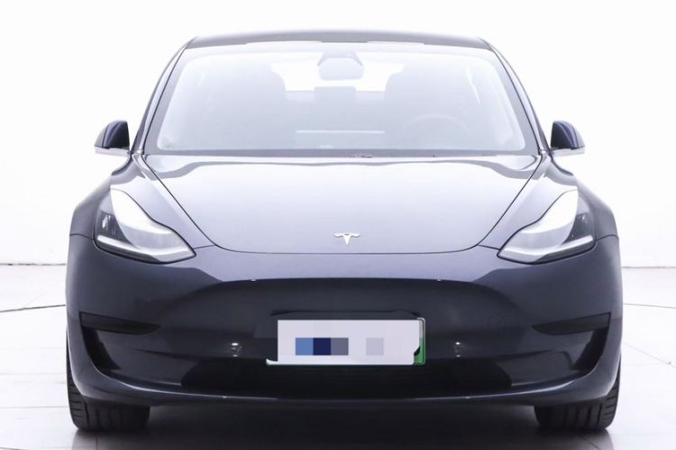 Used Tesla Model 3 2019 Standard Range Rear-Drive Upgraded Version Exterior 1