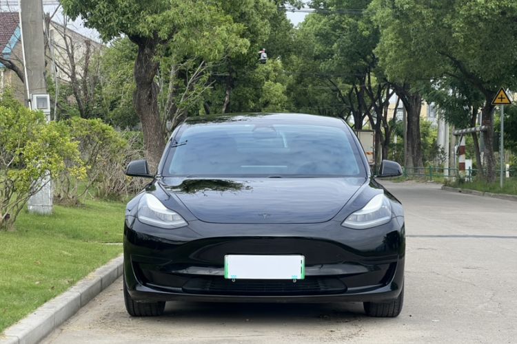 Used Tesla Model 3 2019 Standard Range Rear-Drive Upgraded Version Exterior 1