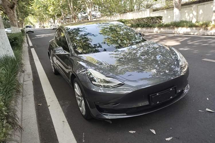 Used Tesla Model 3 2019 Long-Range Rear-Wheel-Drive Version Exterior 1