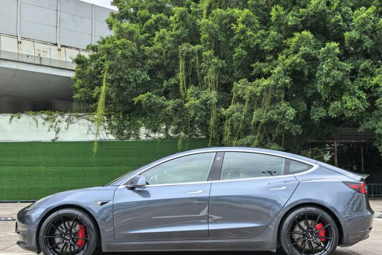 Used Tesla Model 3 2019 Performance High-Performance All-Wheel-Drive Version Exterior 3