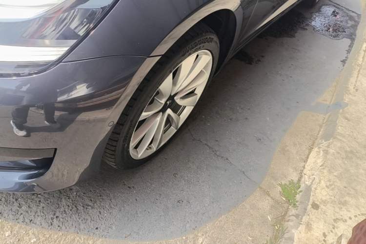 Used Tesla Model 3 2019 Standard Range Rear-Drive Upgraded Version Exterior 4