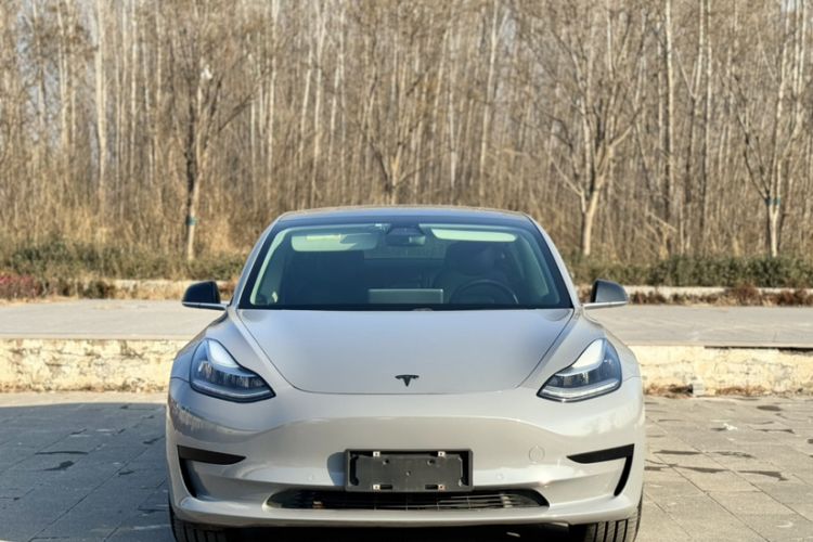 Used Tesla Model 3 2019 Standard Range Rear-Drive Upgraded Version Exterior 4