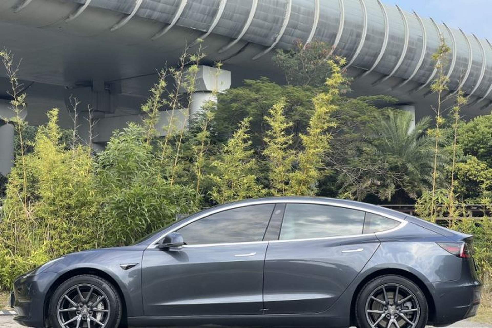 Used Tesla Model 3 2019 Long-Range Rear-Wheel-Drive Version Exterior 5