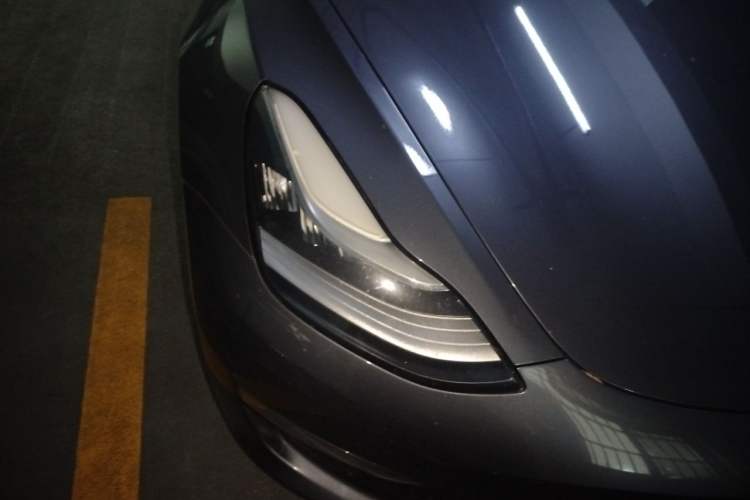 Used Tesla Model 3 2019 Long-Range All-Wheel-Drive Version Exterior 6
