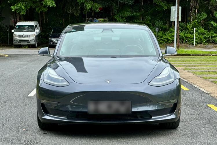 Used Tesla Model 3 2019 Long-Range Rear-Wheel-Drive Version Exterior 7