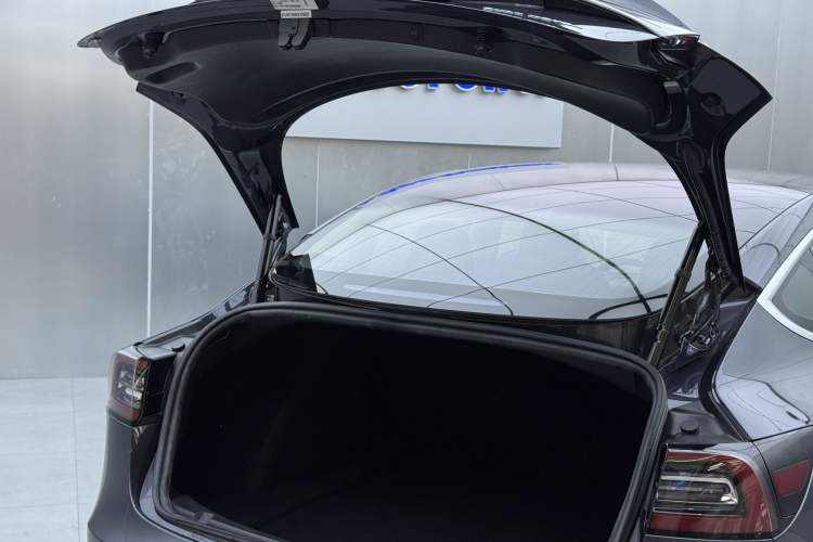 Used Tesla Model 3 2019 Long-Range All-Wheel-Drive Version Exterior 7