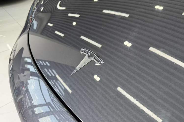 Used Tesla Model 3 2019 Standard Range Rear-Drive Upgraded Version Exterior 8