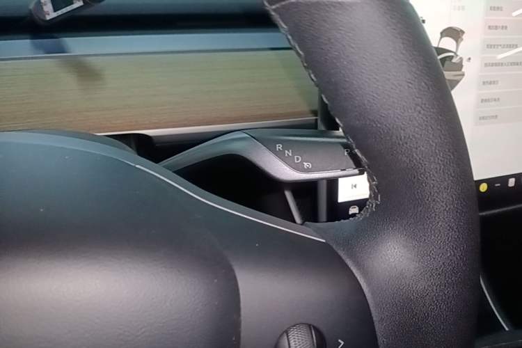 Used Tesla Model 3 2019 Standard Range Rear-Drive Upgraded Version Gear Lever