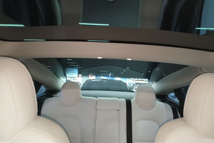 Used Tesla Model 3 2019 Performance High-Performance All-Wheel-Drive Version Headliner