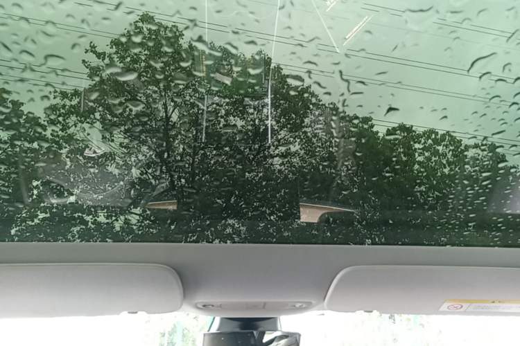 Used Tesla Model 3 2019 Long-Range Rear-Wheel-Drive Version Headliner