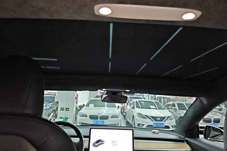 Used Tesla Model 3 2019 Performance High-Performance All-Wheel-Drive Version Headliner