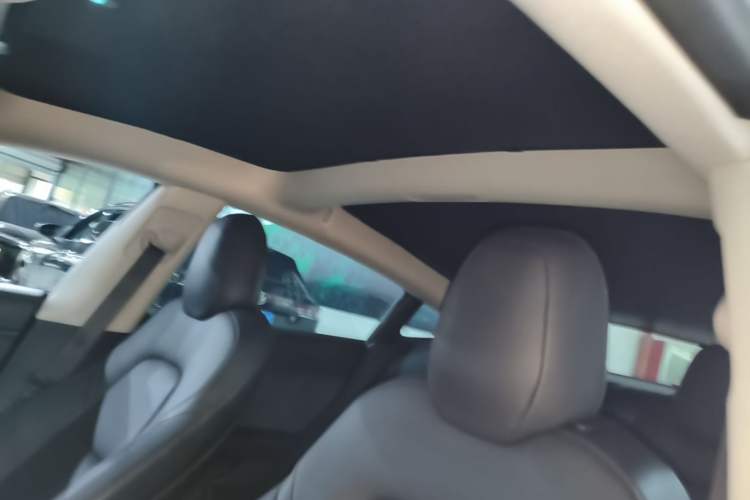 Used Tesla Model 3 2019 Long-Range All-Wheel-Drive Version Headliner