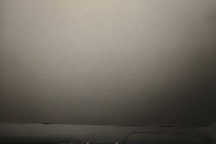 Used Tesla Model 3 2019 Long-Range Rear-Wheel-Drive Version Headliner