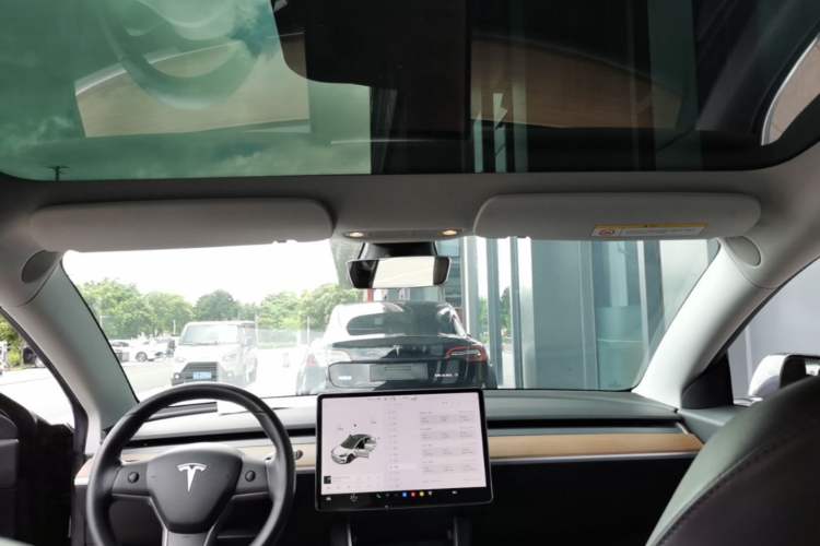 Used Tesla Model 3 2019 Long-Range All-Wheel-Drive Version Headliner