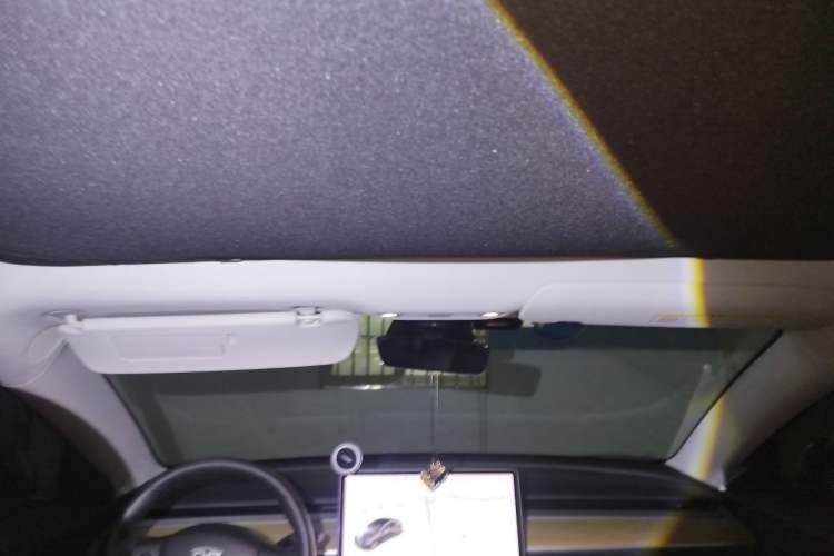 Used Tesla Model 3 2019 Long-Range All-Wheel-Drive Version Headliner