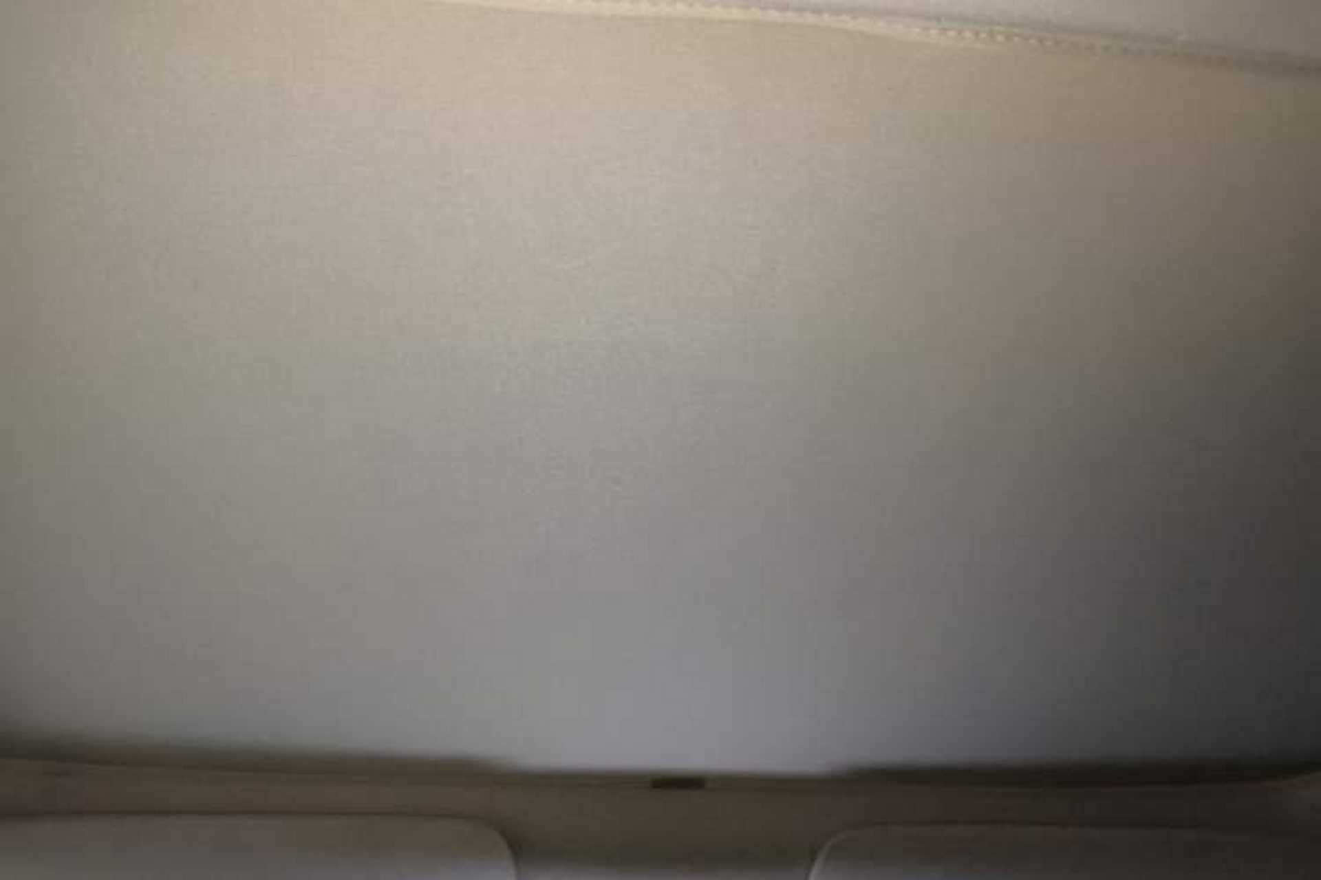 Used Tesla Model 3 2019 Long-Range Rear-Wheel-Drive Version Headliner
