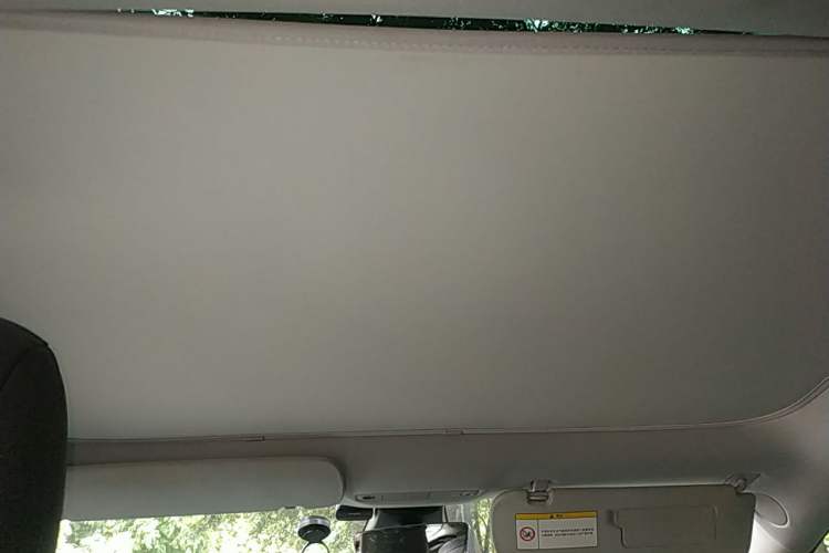 Used Tesla Model 3 2019 Standard Range Rear-Drive Upgraded Version Headliner