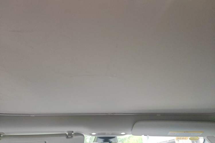 Used Tesla Model 3 2019 Standard Range Rear-Drive Upgraded Version Headliner