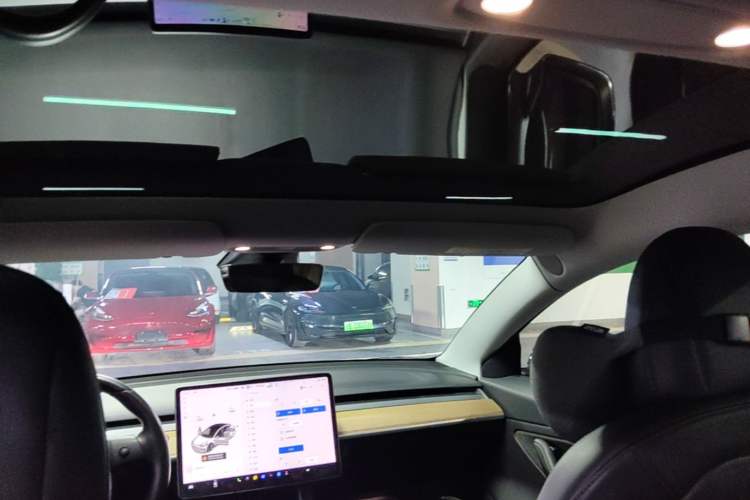 Used Tesla Model 3 2019 Long-Range Rear-Wheel-Drive Version Headliner
