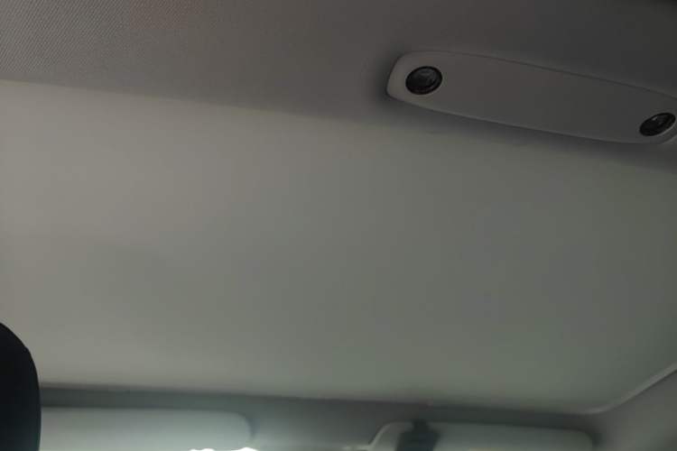 Used Tesla Model 3 2019 Standard Range Rear-Drive Upgraded Version Headliner