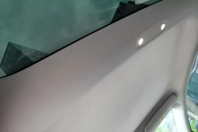 Used Tesla Model 3 2019 Performance High-Performance All-Wheel-Drive Version Headliner