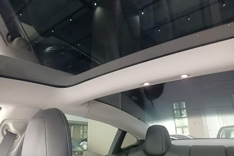 Used Tesla Model 3 2019 Long-Range Rear-Wheel-Drive Version Headliner