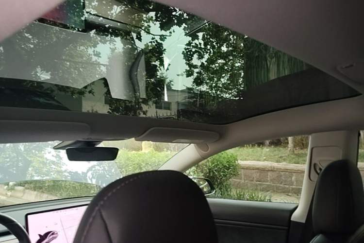 Used Tesla Model 3 2019 Long-Range Rear-Wheel-Drive Version Headliner