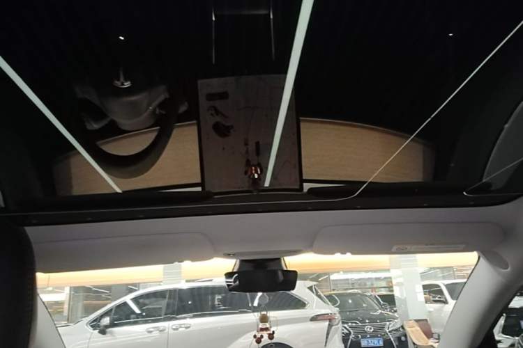 Used Tesla Model 3 2019 Standard Range Rear-Drive Upgraded Version Headliner