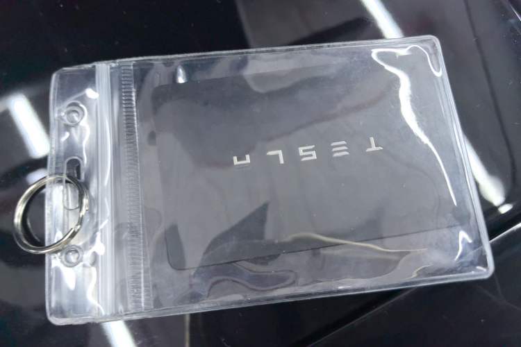 Used Tesla Model 3 2019 Standard Range Rear-Wheel Drive Upgraded Version (52 kWh) Interior 1