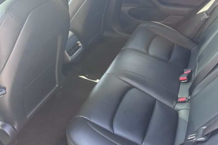 Used Tesla Model 3 2019 Standard Range Rear-Drive Upgraded Version Interior 4